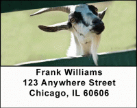 Goats Address Labels