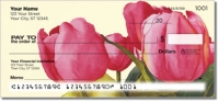 Floral Series 8 Checks