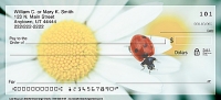 Lady Bug Luck Daisies Personal Checks