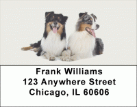 Australian Shepherd Address Labels Accessories