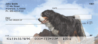 Bernese Mountain Dogs Personal Checks