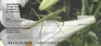 Praying Mantises Personal Checks