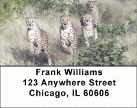 Cheeky Cheetahs Address Labels Accessories