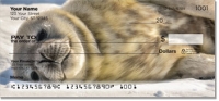 Animals of Antarctica Personal Checks