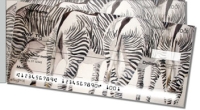 Kay Smith Zebra Side Tear Personal Checks