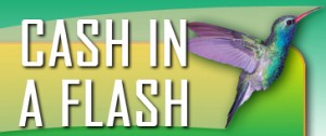 cash-in-a-flash