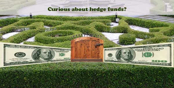 hedge-funds-guide
