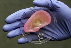 Princeton University Creates A 3D Bionic Ear