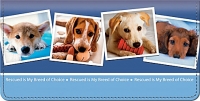 Rescued is My Breed of Choice Checkbook Cover Accessories