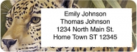 Eyes of the Wild Return Address Label Accessories