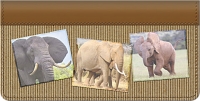 Elephants Checkbook Cover Accessories