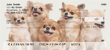Lovable Chihuahuas Personal Checks