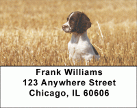 English Spaniels Address Labels Accessories
