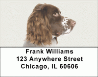 More English Spaniels Address Labels Accessories