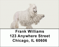 Standard Poodle Address Labels Accessories