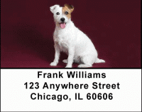 Jack Russell Terriers Address Labels Accessories
