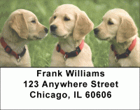 Cute Puppies Address Labels Accessories