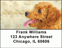 Toy Poodles Address Labels Accessories