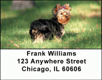 Yorkshire Terriers Address Labels Accessories