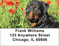 Rottweiler Address Labels Accessories