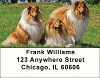 Collies Come home Address Labels Accessories