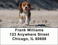 Brilliant Beagles Address Labels Accessories