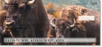 American Bison Personal Checks