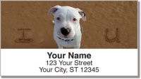 Animal Sand Scribbles Address Labels Accessories