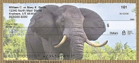 Elephants Personal Checks