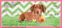 Chevron Dachshund Personal Checks