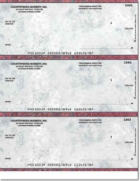 Executive Gray Laser Checks Check No Voucher w/o Lines - 1 Box