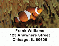 Tropical Fish Address Labels Accessories