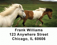 Horses Address Labels