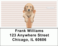 Gelato Pups Keith Kimberlin Address Labels Accessories