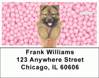 More Gelato Pups Keith Kimberlin Address Labels Accessories