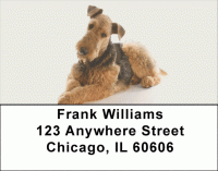 Airedale Terrier Address Labels Accessories