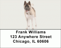 Akita Address Labels Accessories