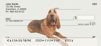 Blood Hound Personal Checks