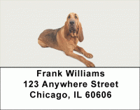 Blood Hound Address Labels Accessories