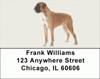 Boxer Address Labels Accessories