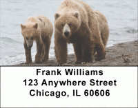 Grizzly Bears in the Wild Address Labels Accessories