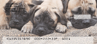 Bullmastiff Personal Checks