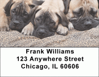 Bullmastiff Address Labels Accessories