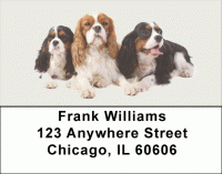 Cavalier Spaniels Address Labels Accessories