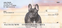 French Bulldog Personal Checks