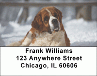 Saint Bernard Address Labels Accessories