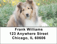 Shetland Sheepdog Address Labels Accessories