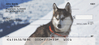 Siberian Husky Personal Checks