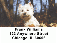 West Highland White Terrier Address Labels Accessories