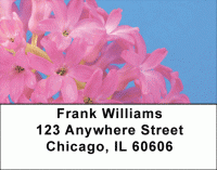 Natures Fireworks Address Labels Accessories